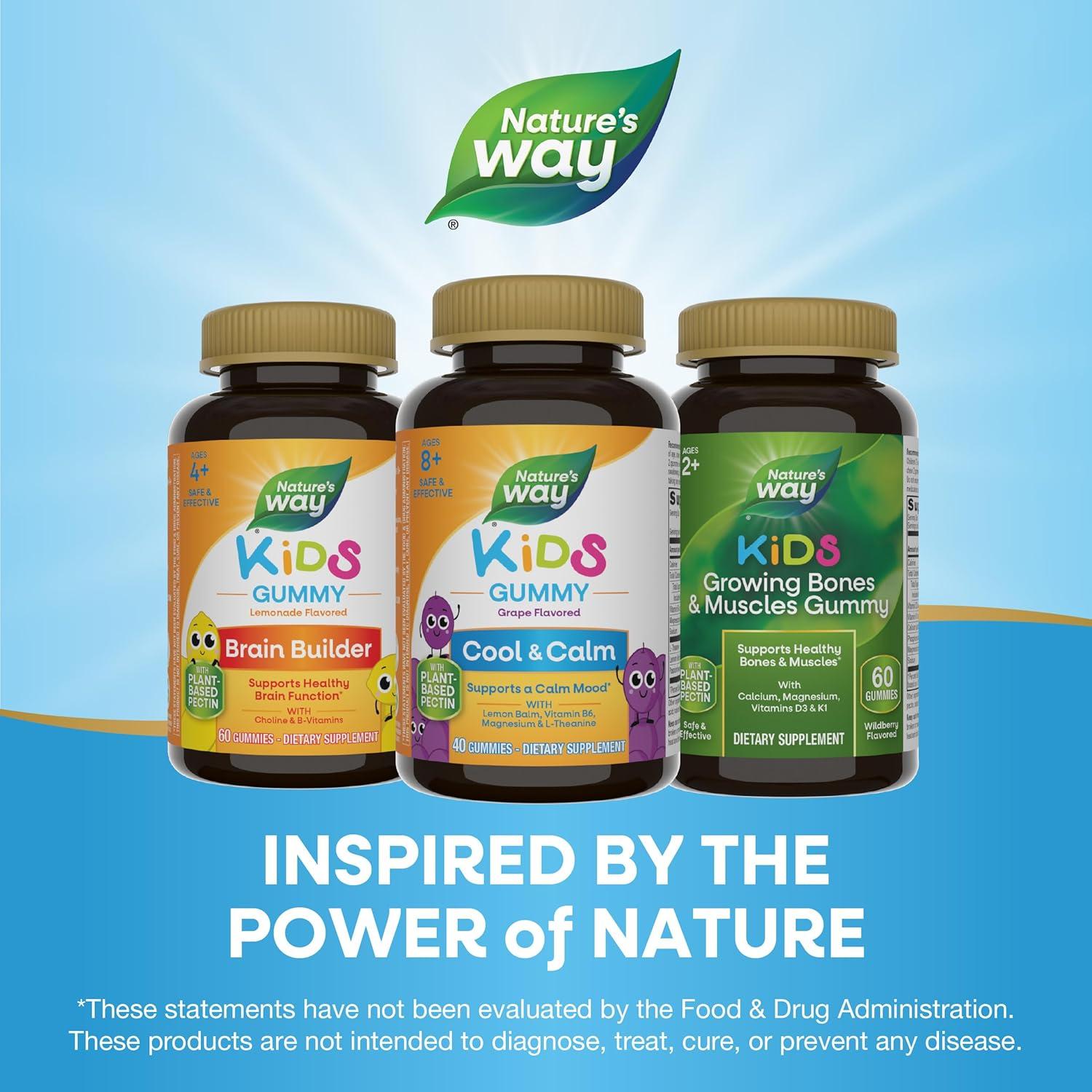 image:imageNatures Way Kids Cool amp Calm Gummies Supports a Calm Mood in Kids Ages 8 Lemon Balm Magnesium Vitamin B6 LTheanine Grape Flavored Vegetarian 40 Count Packaging May Vary40 Count Pack of 2