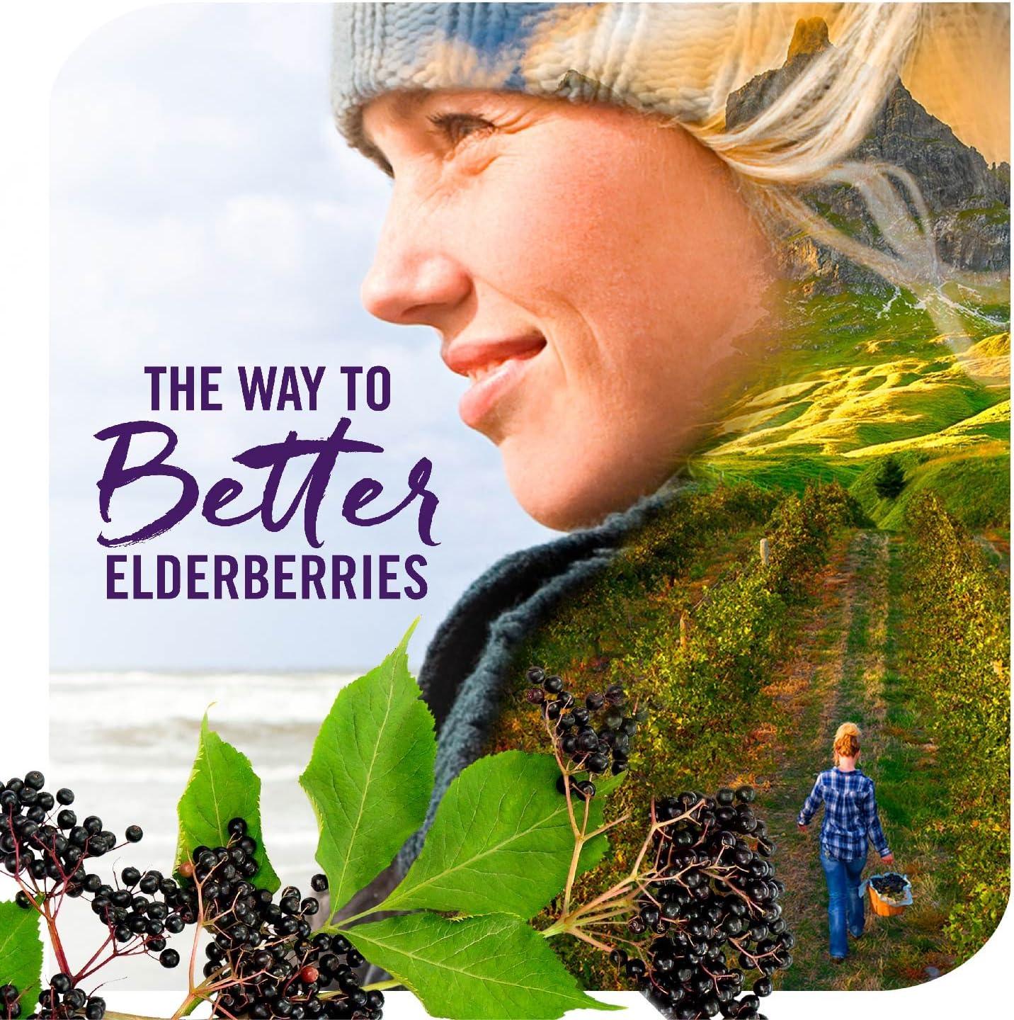 image:imageNatures Way Sambucus Elderberry Immune Syrup for Kids Ages 2 with Echinacea amp Propolis with Superfood Antioxidants1 Immune Support Syrup Berry Flavored 4 Fl Oz Packaging May Vary8 Fl Oz Pack of 2