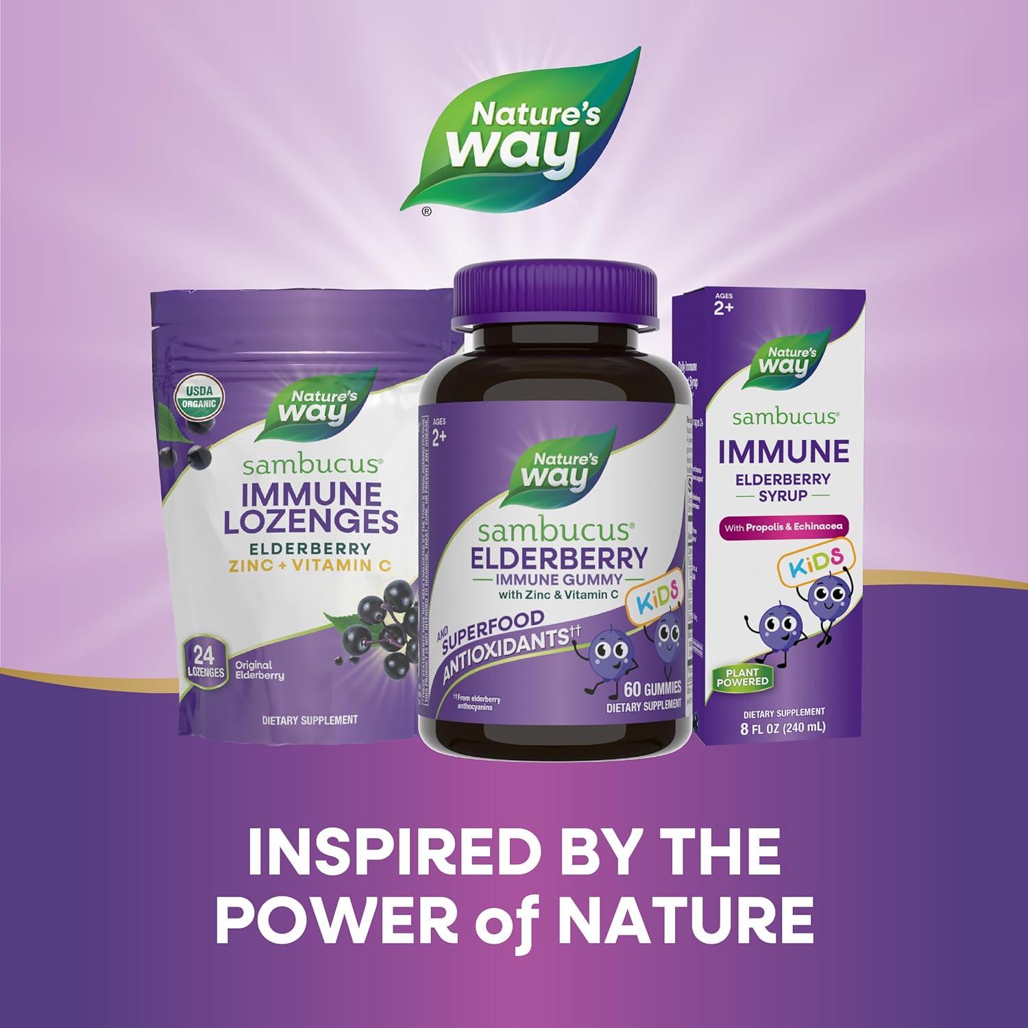 image:imageNatures Way Sambucus Kids Elderberry Immune Gummies with Black Elderberry Extract Daily Immune Support Gummy with Vitamin C and Zinc for Children Ages 2 60 Gummies
