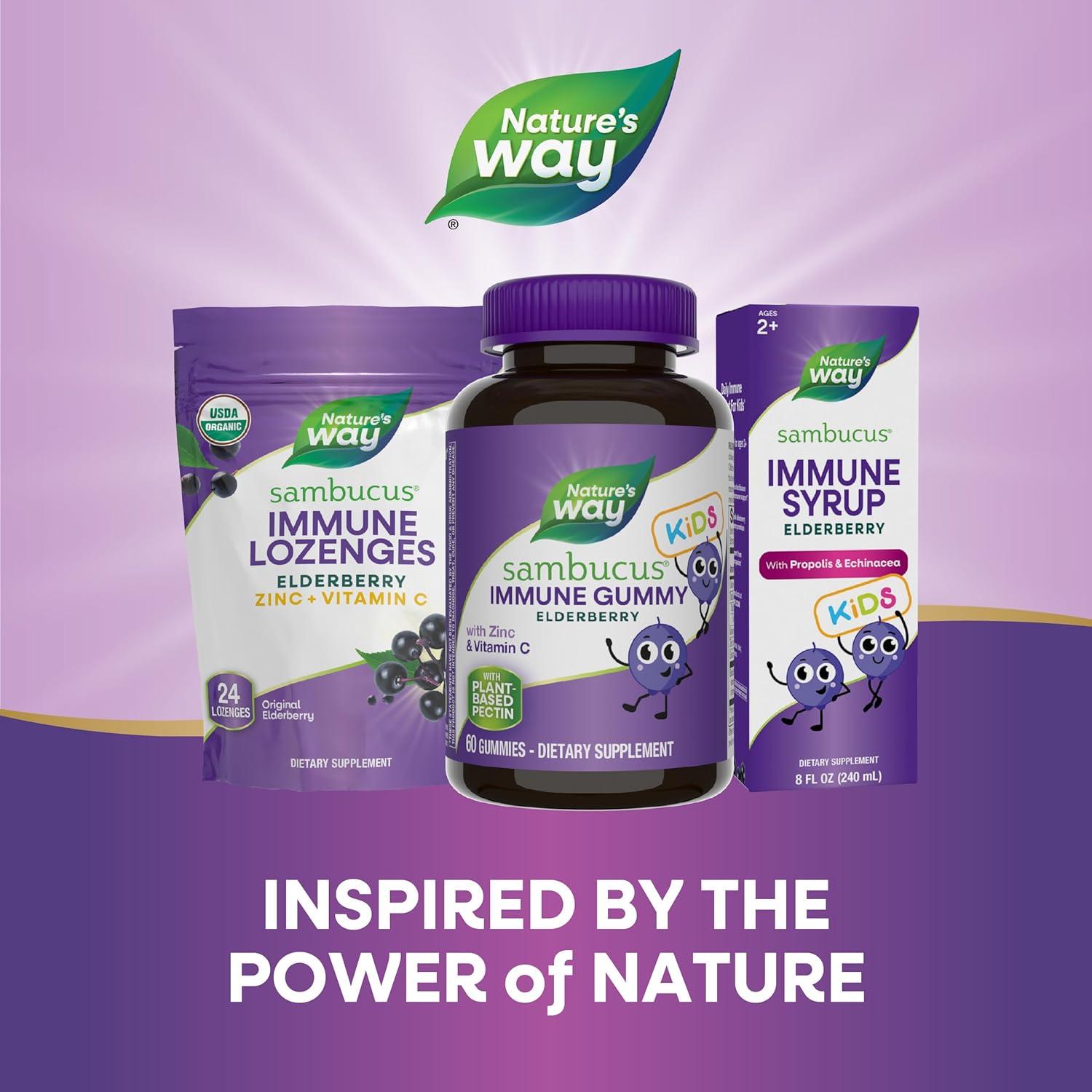 image:imageNatures Way Sambucus Kids Elderberry Immune Gummies with Black Elderberry Extract Daily Immune Support Gummy with Vitamin C and Zinc for Children Ages 2 60 Gummies Set of 3