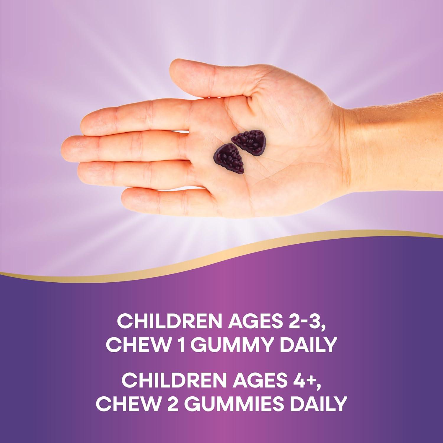 image:imageNatures Way Sambucus Kids Elderberry Immune Gummies with Black Elderberry Extract Daily Immune Support Gummy with Vitamin C and Zinc for Children Ages 2 60 Gummies