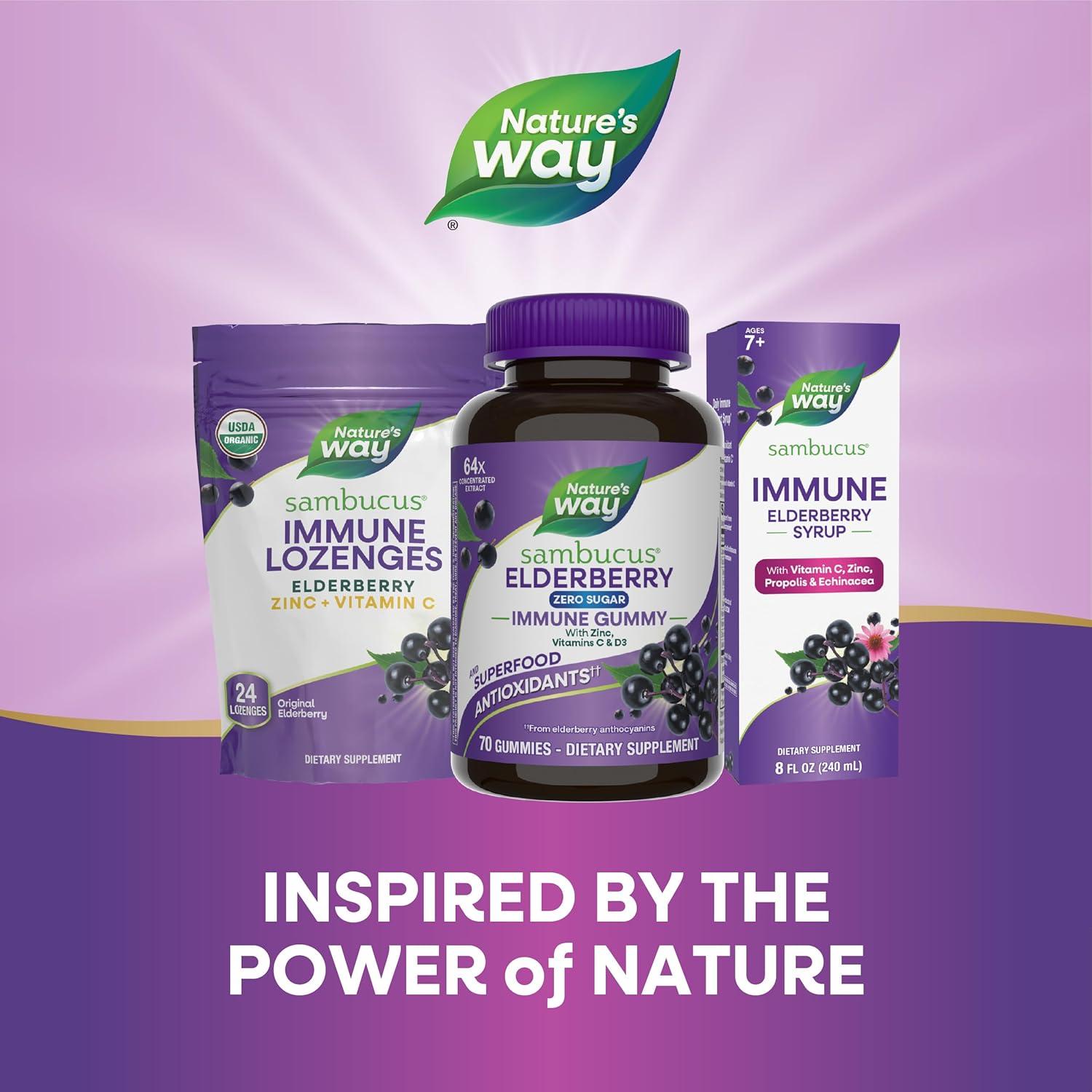 image:imageNatures Way Sambucus Zero Sugar Immune Gummies Daily Immune Support Black Elderberry Extract Vitamin C Vitamin D3 Zinc Sugar Free Sugar Alcohol Free PlantBased Sweeteners 70 GummiesAll Family