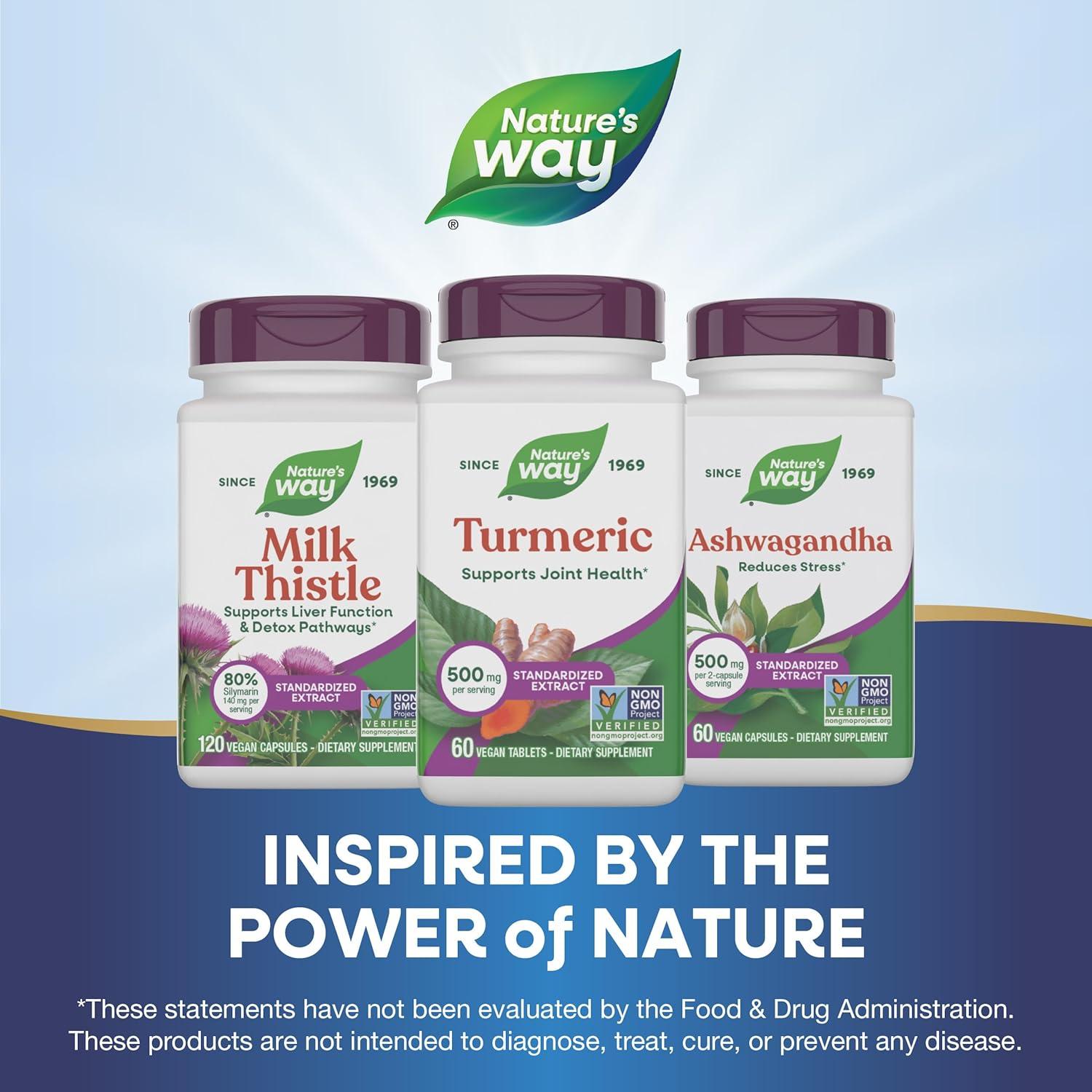 image:imageNatures Way Turmeric Premium Extract Supports Joint Health NonGMO Project Verified 500 mg per Serving Joint Supplement Turmeric Tablets Gluten Free 120 Tablets60 Count Pack of 1