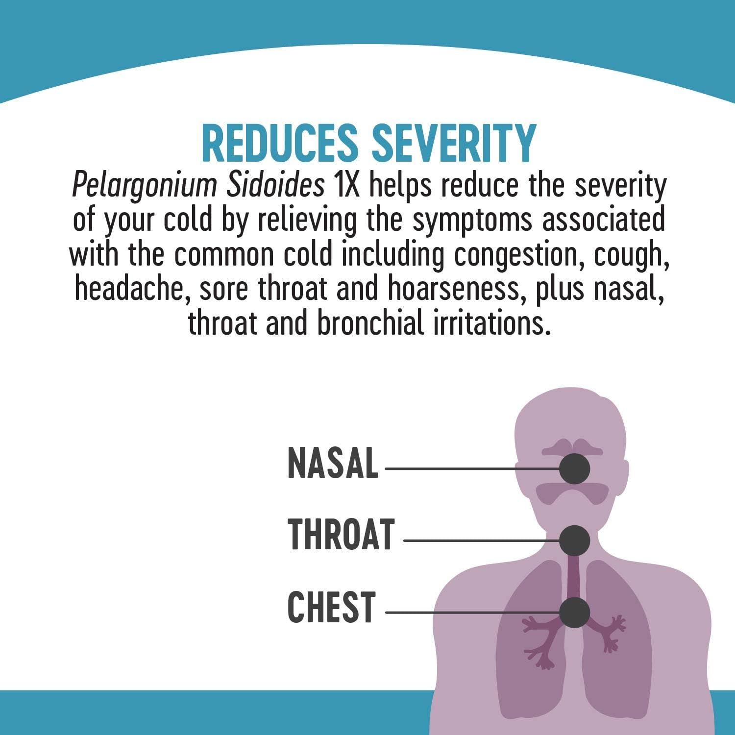 image:imageNatures Way Umcka Cold Relief Zero Sugar Syrup Umcka Homeopathic Shortens Colds Sore Throat Cough Congestion and Stuffy Nose Phenylephrine Free Grape Flavored 4 Fl Oz Packaging May Vary