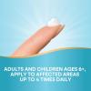 Boericke and Tafel Triflora Arthritis Gel, 2.75 Ounce