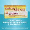 Boericke and Tafel Triflora Arthritis Gel, 2.75 Ounce