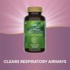 Nature’s Way Air-Power, Guaifenesin, Expectorant Mucus Relief, Clears Respiratory Airways, Thins & Loosens Mucus, Vegan, 100 Tablets (Packaging May Vary)