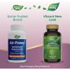 Nature’s Way Air-Power, Guaifenesin, Expectorant Mucus Relief, Clears Respiratory Airways, Thins & Loosens Mucus, Vegan, 100 Tablets (Packaging May Vary)