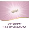 Nature’s Way Air-Power, Guaifenesin, Expectorant Mucus Relief, Clears Respiratory Airways, Thins & Loosens Mucus, Vegan, 100 Tablets (Packaging May Vary)