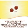 Nature’s Way Alive! Vitamin B Complex Gummies, Cellular Energy Support*, 8 B-Vitamins, Vegetarian, Mango Flavored, 60 Count (Packaging May Vary)(60 Count (Pack of 2))