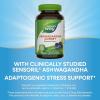 Nature’s Way Ashwagandha Gummies, Reduce Stress with Adaptogenic Herb*, 125 mg Per 2-gummy Serving, Berry Flavored, 90 Gummies (Packaging May Vary)