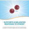 Nature’s Way Ashwagandha Gummies, Reduce Stress with Adaptogenic Herb*, 125 mg Per 2-gummy Serving, Berry Flavored, 90 Gummies (Packaging May Vary)