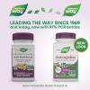 Nature’s Way Astragalus Premium Extract, Supports Immune Health*, 250 mg Extract per Serving, Non-GMO Project Verified, 60 Vegan Capsules (Packaging May Vary)