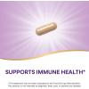 Nature’s Way Astragalus Premium Extract, Supports Immune Health*, 250 mg Extract per Serving, Non-GMO Project Verified, 60 Vegan Capsules (Packaging May Vary)