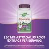 Nature’s Way Astragalus Premium Extract, Supports Immune Health*, 250 mg Extract per Serving, Non-GMO Project Verified, 60 Vegan Capsules (Packaging May Vary)
