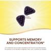 Nature’s Way Brain Fuel, Supports Memory and Concentration*, Brain Function Support Supplement*, Clinically Studied Cognigrape®, Grape Flavored, 60 Gummies(60 Count (Pack of 1))