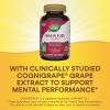 Nature’s Way Brain Fuel, Supports Memory and Concentration*, Brain Function Support Supplement*, Clinically Studied Cognigrape®, Grape Flavored, 60 Gummies(60 Count (Pack of 2))