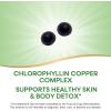 Nature’s Way Chlorofresh Chlorophyll Gummies, Supports Healthy Skin and Body Detox*, Internal Deodorant*, Orchard Fruit Flavored, 60 Gummies(60 Count (Pack of 2))
