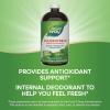 Nature’s Way Chlorofresh Liquid Chlorophyll Internal Deodorant 16 fl oz, Mint Flavor (Packaging May Vary)