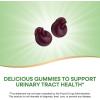 Nature’s Way CranRx Cranberry Gummies, Urinary Tract Health Support*, 100% Whole Cranberry Fruit Concentrate with D-Mannose, Vitamin C, 60 Gummies (Set of 3)(60 Count (Pack of 1))