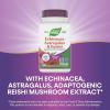 Nature’s Way Echinacea Astragalus & Reishi, Immune Support*, 100 Capsules(1)