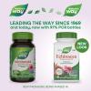 Nature’s Way Echinacea Purpurea Herb, 1,200 mg per serving, 180 Capsules(100 Count (Pack of 1))