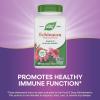 Nature’s Way Echinacea Purpurea Herb, 1,200 mg per serving, 180 Capsules(180 Count (Pack of 1))