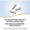 Nature’s Way GS-500 Glucosamine Sulfate, Stable Form, Helps Support Healthy Joints & Cartilage*, 500 mg Glucosamine per Capsule, 240 Capsules (Packaging May Vary)(240 Count (Pack of 1))