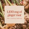 Nature’s Way Ginger Root Capsules, 1100 mg per 2-Capsule Serving Ginger Supplement for Digestive Comfort and Motion-Related Nausea Support*, Vegan, Non-GMO Project Verified, 240 Count(240 Count (Pack of 1))