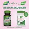 Nature’s Way Ivy Extract from English Ivy Leaf, Traditional Respiratory Support*, 50 mg Per 2-Tablet Serving, 90 Vegan Tablets (Packaging May Vary)