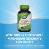 Nature’s Way Magnesium Glycinate Complex, Supports Heart, Muscle, Nerve Function*, Highly Absorbable, 220 mg per 2-Tablet Serving, No Gluten, Vegan, 120 Tablets (Packaging May Vary)