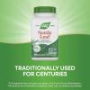 Nature’s Way Nettle Leaf, Traditional Urinary Support*, 870 mg per 2-Capsule Serving, Non-GMO Project Verified, Vegan, 100 Capsules(100 Count (Pack of 1))