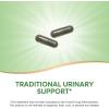 Nature’s Way Nettle Leaf, Traditional Urinary Support*, 870 mg per 2-Capsule Serving, Non-GMO Project Verified, Vegan, 100 Capsules(100 Count (Pack of 2))