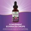 Nature’s Way Premium Formula Echinacea-Goldenseal, 250 mg per serving, 99.9% Alcohol-Free, 1.01 Oz.