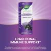 Nature’s Way Sambucus Elderberry Traditional Immune Syrup, Highly Concentrated Black Elderberry Extract, Traditional Immune Support*, Delicious Berry Flavored, 8 Fl Oz (Packaging May Vary)(8 Fl Oz (Pack of 1))