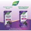 Nature’s Way Sambucus Immune Elderberry Syrup, Elderberry extract, Vitamin C and Zinc with Propolis & Echinacea for Immune Support*, with Superfood Antioxidants(1), 8 Fl Oz (Packaging May Vary)(4 Fl Oz (Pack of 1))