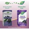 Nature’s Way Sambucus Immune Lozenges, with Vitamin C, Black Elderberry Extract, Immune Support*, 30 Lozenges (Packaging May Vary)
