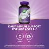 Nature’s Way Sambucus Kids Elderberry Immune Gummies with Black Elderberry Extract, Daily Immune Support Gummy with Vitamin C and Zinc for Children Ages 2+*, 60 Gummies (Set of 3)