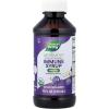 Nature’s Way Sambucus Traditional Elderberry Immune Syrup for Kids, Concentrated Black Elderberry Extract, Traditional Immune Support*, with Superfood Antioxidants(1), 4 Fl Oz (Packaging May Vary)