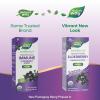Nature’s Way Sambucus Traditional Immune Elderberry Syrup for Ages 7+, Traditional Immune & Antioxidant Support*, Organic Black Elderberry Extract, USDA Certified Organic, 4 Fl Oz (Packaging May Vary)