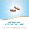 Nature’s Way St. John’s Wort Herb, Promotes a Positive Outlook*, 700 mg per 2-Capsule Serving, Non-GMO Project Verified, Vegan, 180 Capsules(180 Count (Pack of 2))