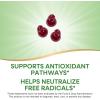 Nature’s Way Tart Cherry Ultra Gummies, Antioxidant Support from Anthocyanins*, 1,200 mg per 3-Gummy Serving, Cherry Flavored, Gluten Free, Vegetarian, 75 Count (Packaging May Vary)
