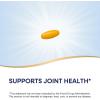 Nature’s Way Turmeric Premium Extract – Supports Joint Health* – Non-GMO Project Verified – 500 mg per Serving – Joint Supplement Turmeric Tablets* – Gluten Free – 120 Tablets(120 Count (Pack of 1))