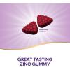 Nature’s Way Zinc Gummies, Adult & Kids 9+ Immune Support Gummies*, 100% Daily Value per Serving, Mixed Berry Flavor, 120 Chews(120 Count (Pack of 1))