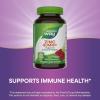 Nature’s Way Zinc Gummies, Adult & Kids 9+ Immune Support Gummies*, 100% Daily Value per Serving, Mixed Berry Flavor, 120 Chews(120 Count (Pack of 2))