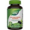 Nature’s Way Chlorofresh Chlorophyll Gummies, Supports Healthy Skin and Body Detox*, Internal Deodorant*, Orchard Fruit Flavored, 60 Gummies(60 Count (Pack of 1))