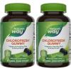 Nature’s Way Chlorofresh Chlorophyll Gummies, Supports Healthy Skin and Body Detox*, Internal Deodorant*, Orchard Fruit Flavored, 60 Gummies(60 Count (Pack of 2))