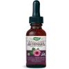 Nature’s Way Premium Formula Echinacea-Goldenseal, 250 mg per serving, 99.9% Alcohol-Free, 1.01 Oz.