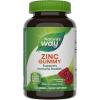 Nature’s Way Zinc Gummies, Adult & Kids 9+ Immune Support Gummies*, 100% Daily Value per Serving, Mixed Berry Flavor, 120 Chews(120 Count (Pack of 1))