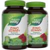 Nature’s Way Zinc Gummies, Adult & Kids 9+ Immune Support Gummies*, 100% Daily Value per Serving, Mixed Berry Flavor, 120 Chews(120 Count (Pack of 2))